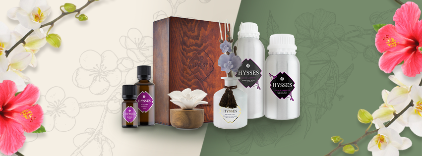 Orchid Ambrette: A Tribute to Singapore's National Flower