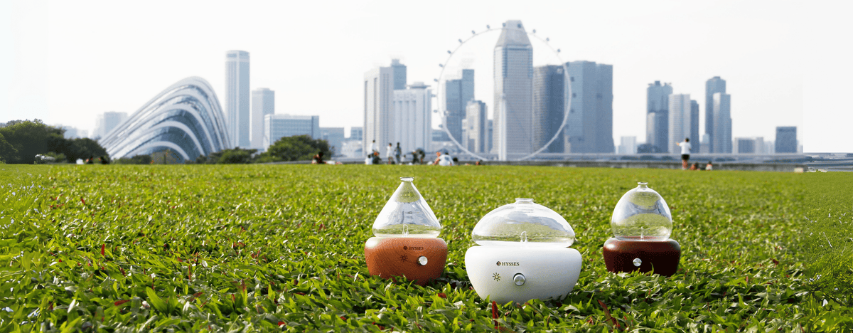 Scenting Your Home Series: Nebuliser vs Ultrasonic Mist Diffuser