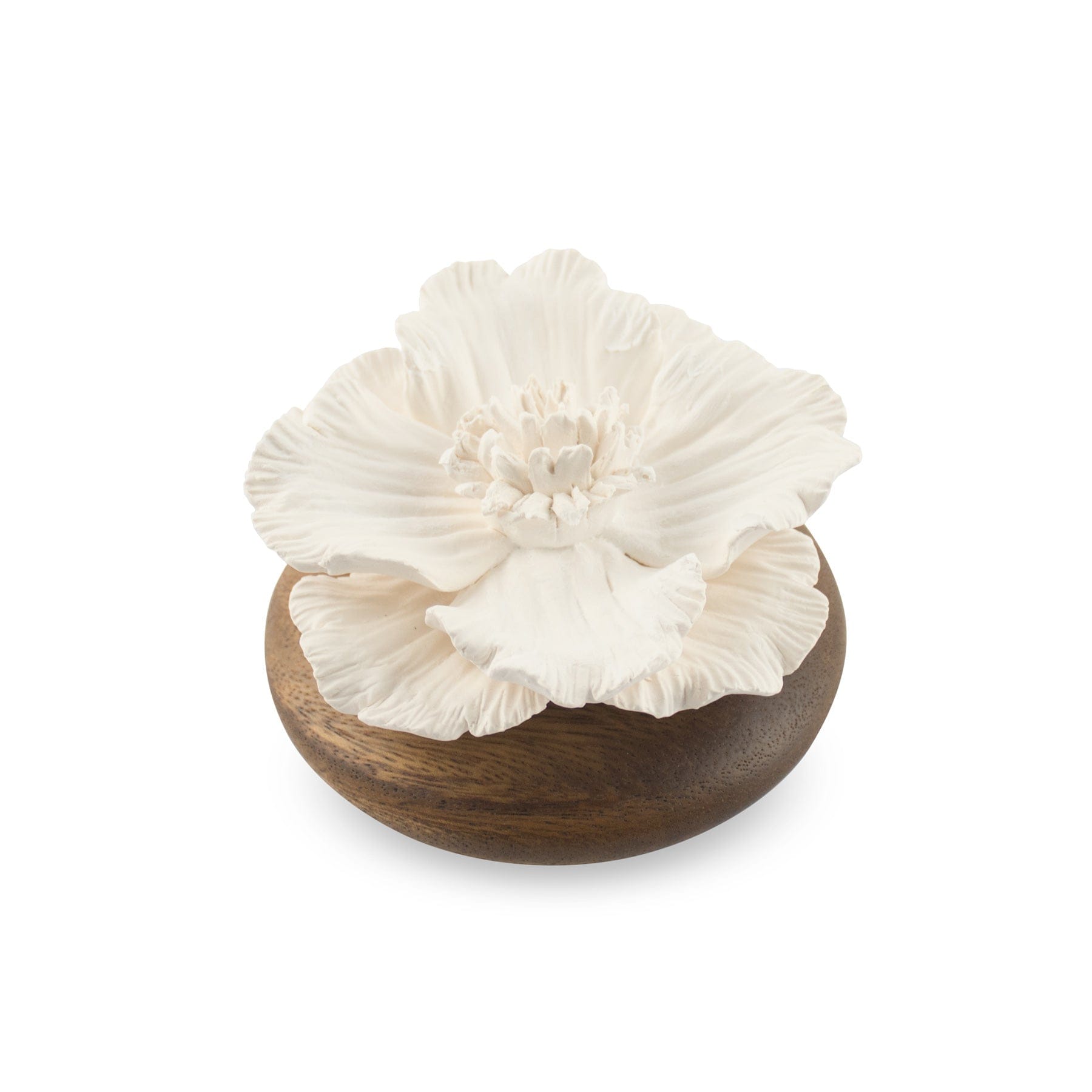 Hysses Singapore Home Scents Anemone Flower Scenting Clay Diffuser (Short Bouquet) R