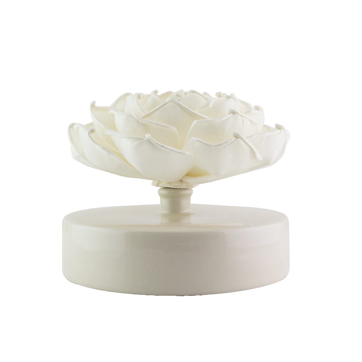 Hysses Singapore Home Scents Big Bloom Solar Diffuser, Lemon Geranium (Red) R