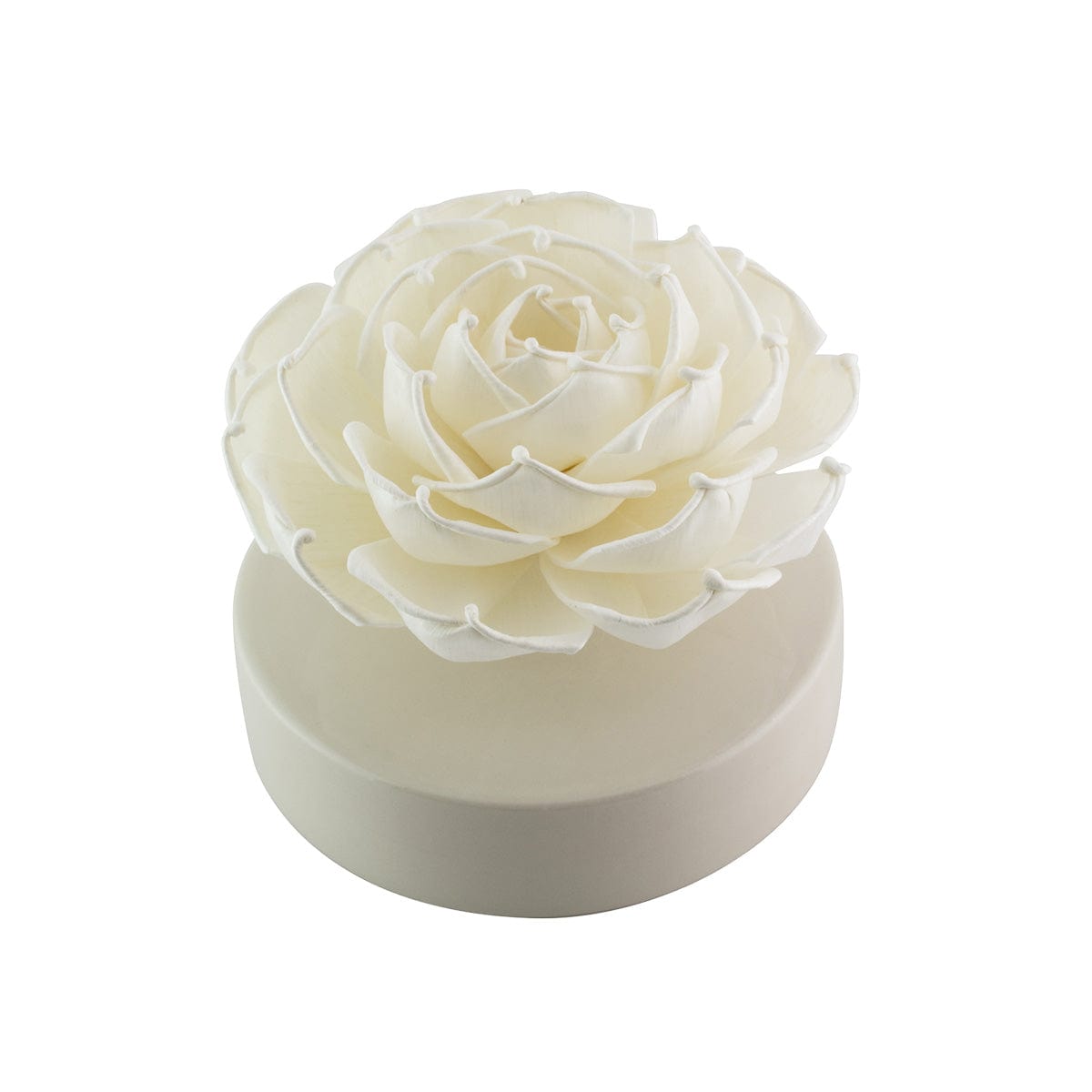 Hysses Singapore Home Scents Big Bloom Solar Diffuser, Lemon Geranium (Red) R