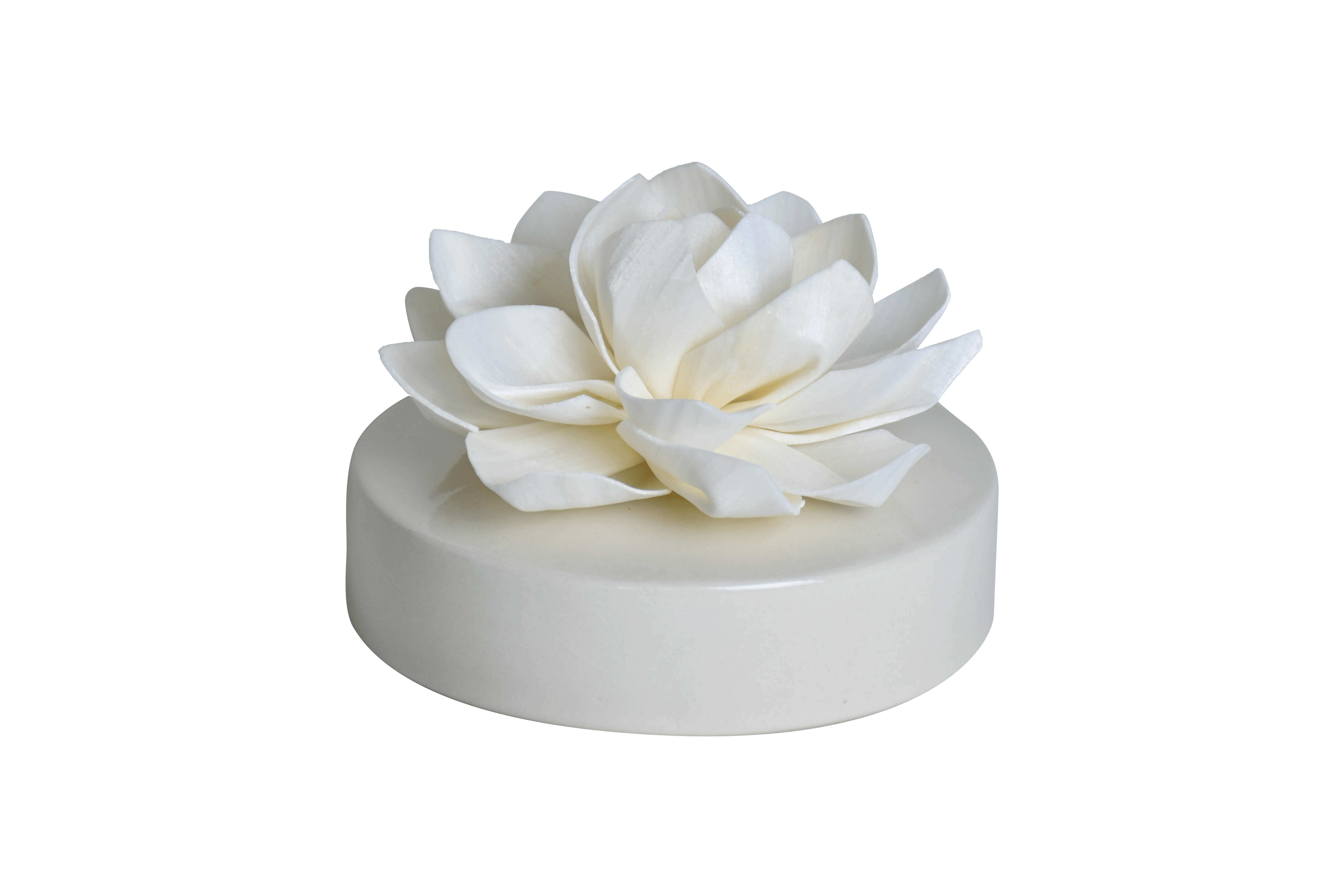 Hysses Singapore Home Scents Big Bloom Solar Diffuser, Palmarosa Jasmine (Maroon Pink) R