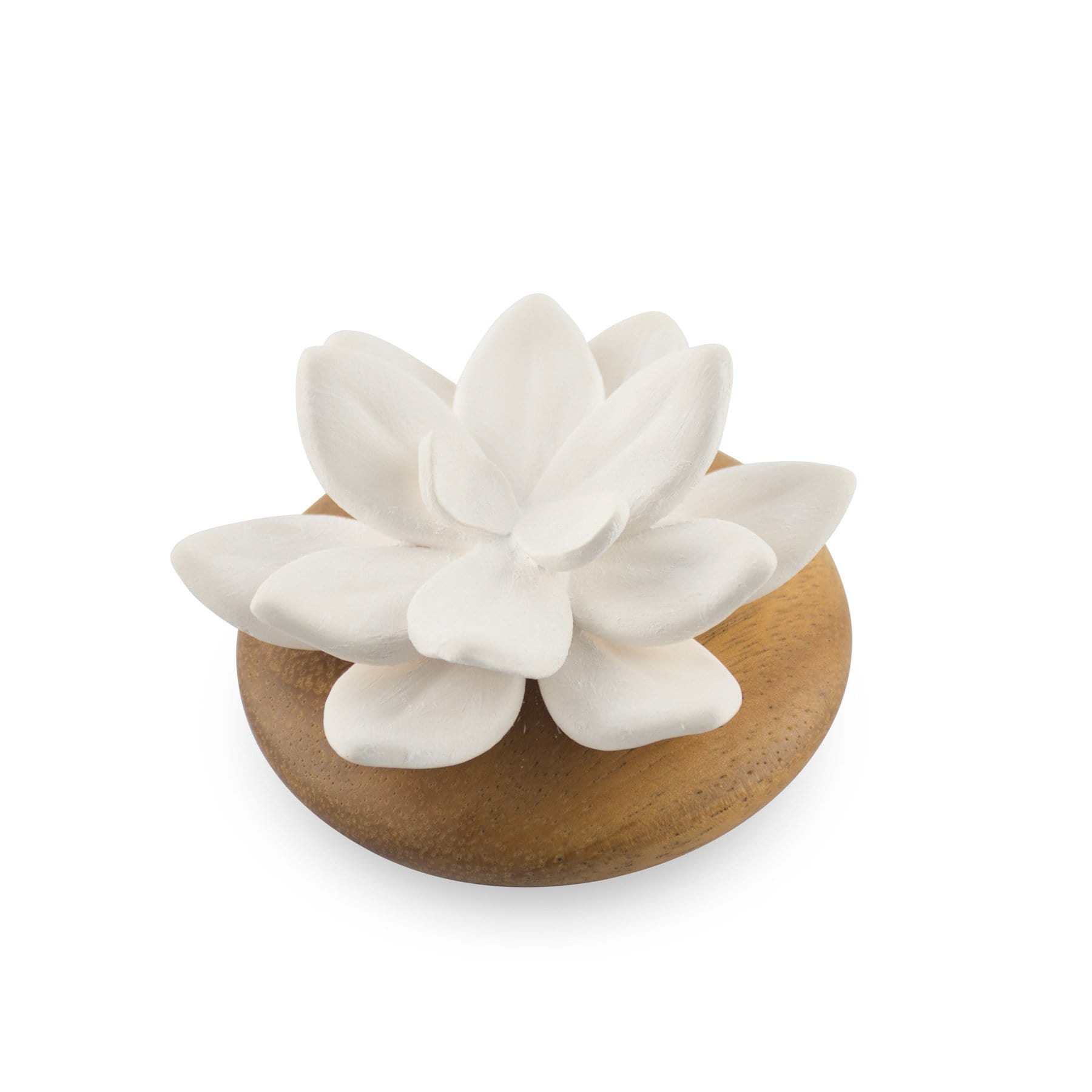 Hysses Singapore Home Scents Succulent Diffuser Scenting Clay Rosa Debay R