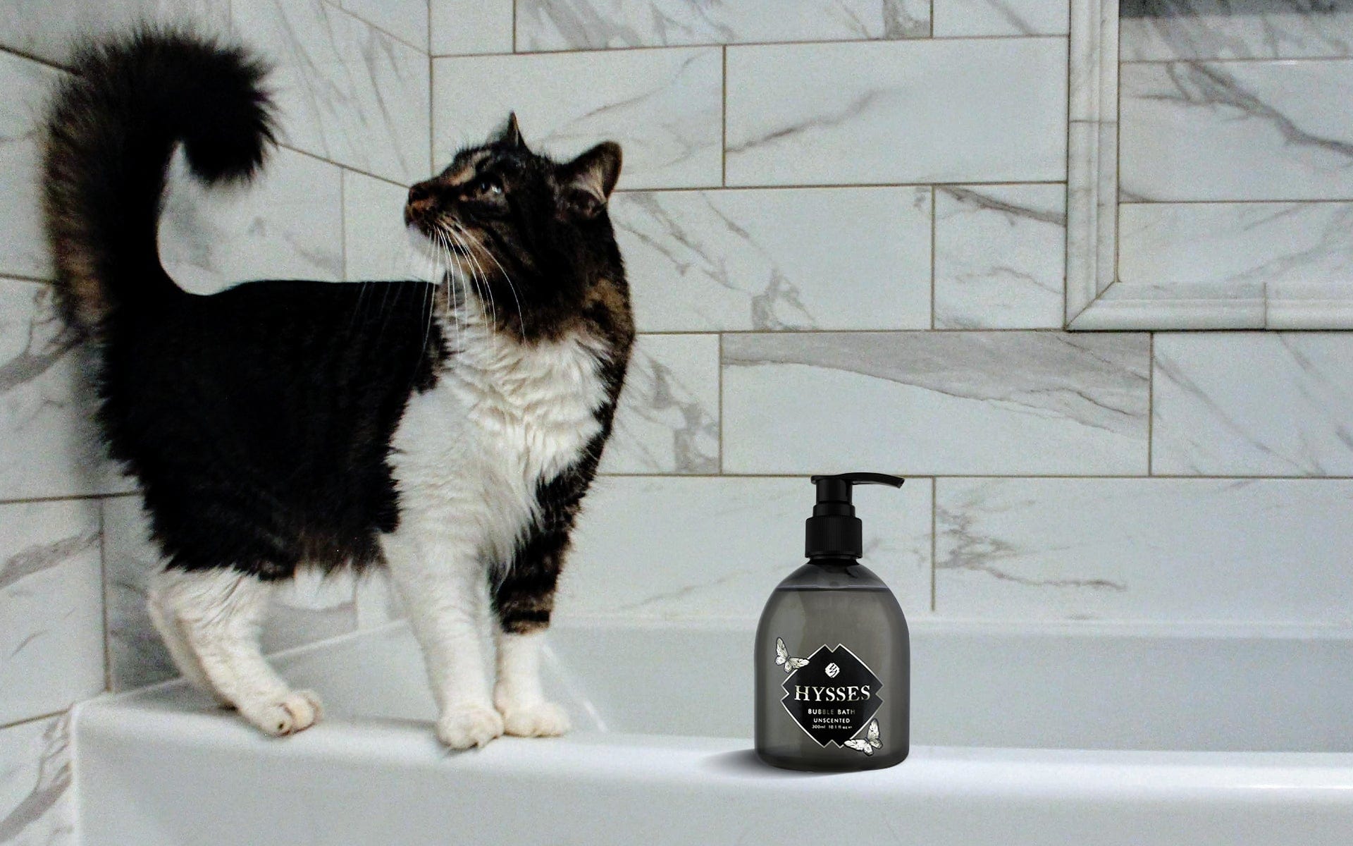 Pet Grooming