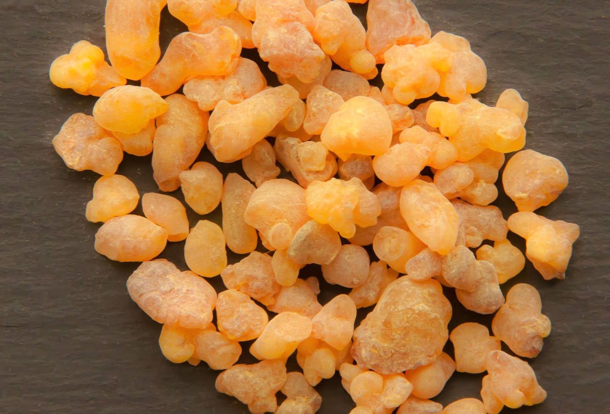 The Medicinal Wonders of Frankincense Essential Oil