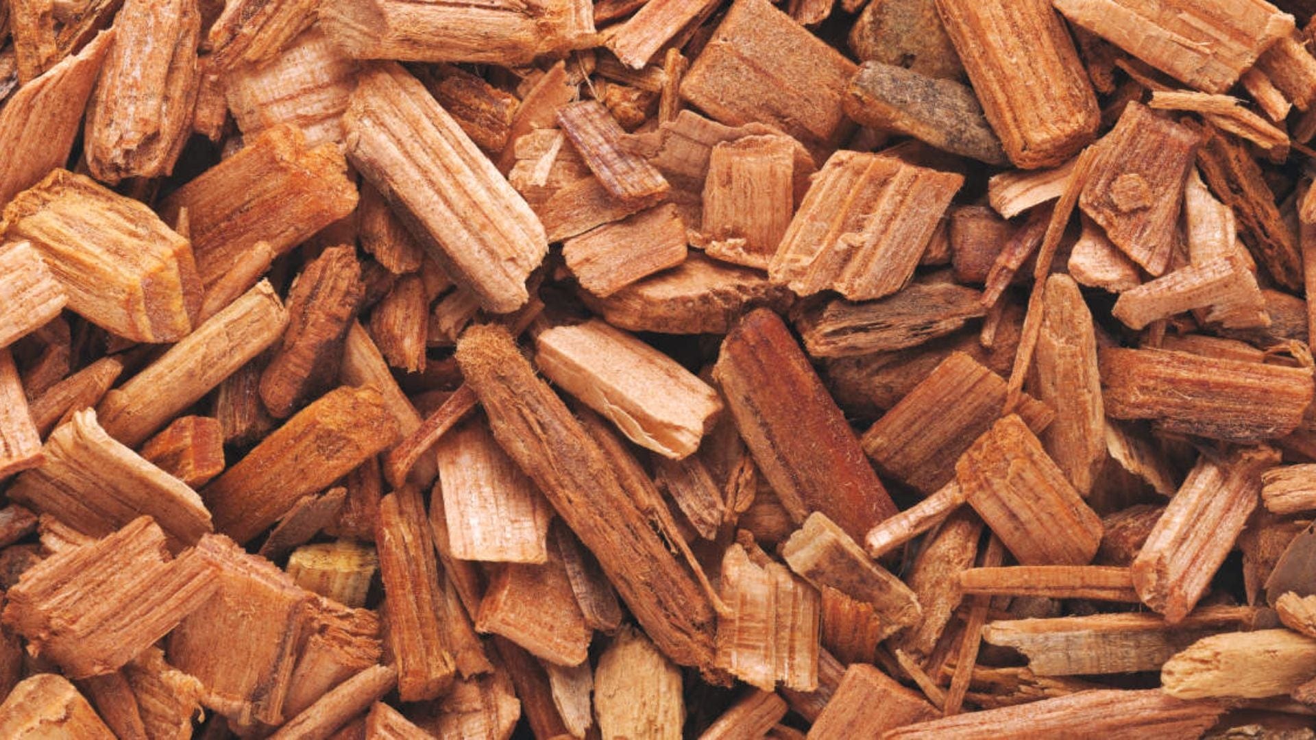 Cedarwood Benefits & Uses