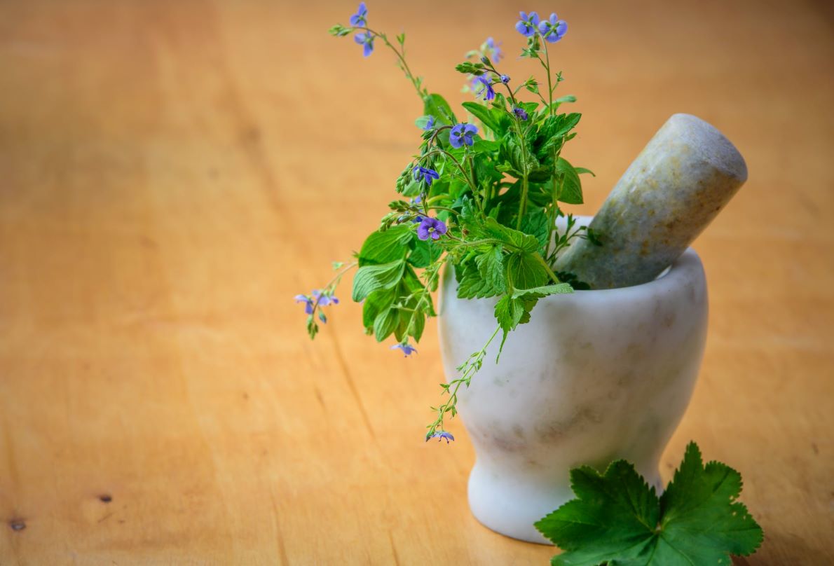 Can Essential Oils Substitute Standard Medications?