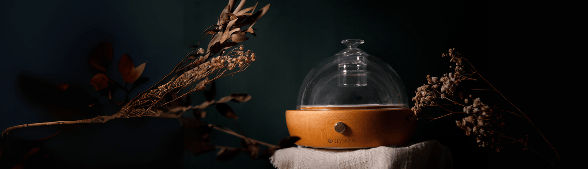 Ultrasonic Diffuser vs Nebuliser: Which Suits Your Home?
