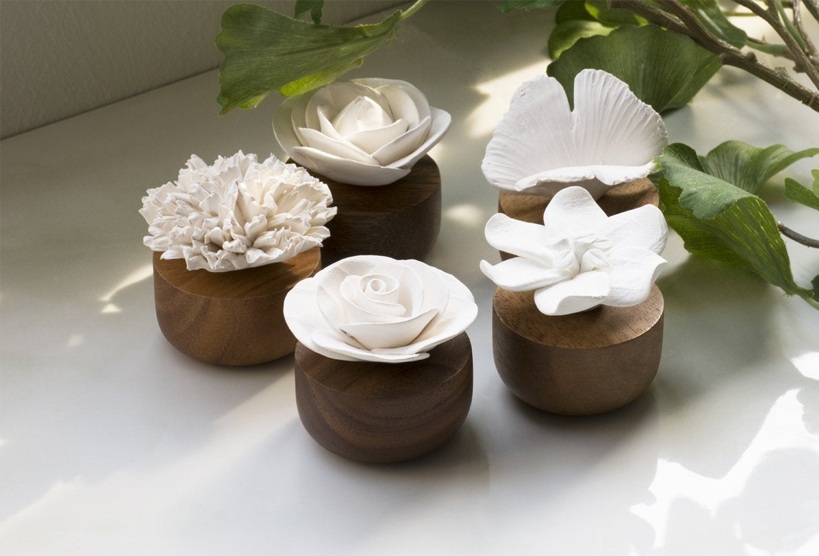 What Diffusers Can I Use For My Car?