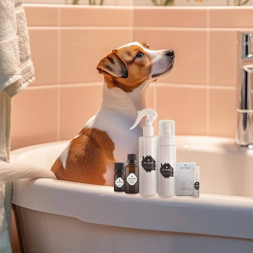 Pet grooming