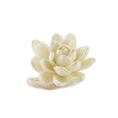 Hysses Singapore Home & Scent Solar Flower Diffuser Refill - Olive Big Bloom