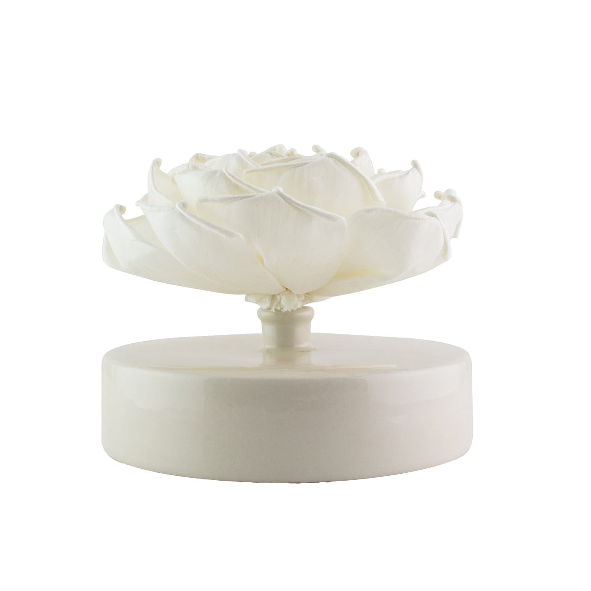 Hysses Singapore Home Scents Big Bloom Solar Diffuser, Lemon Geranium (Red) R