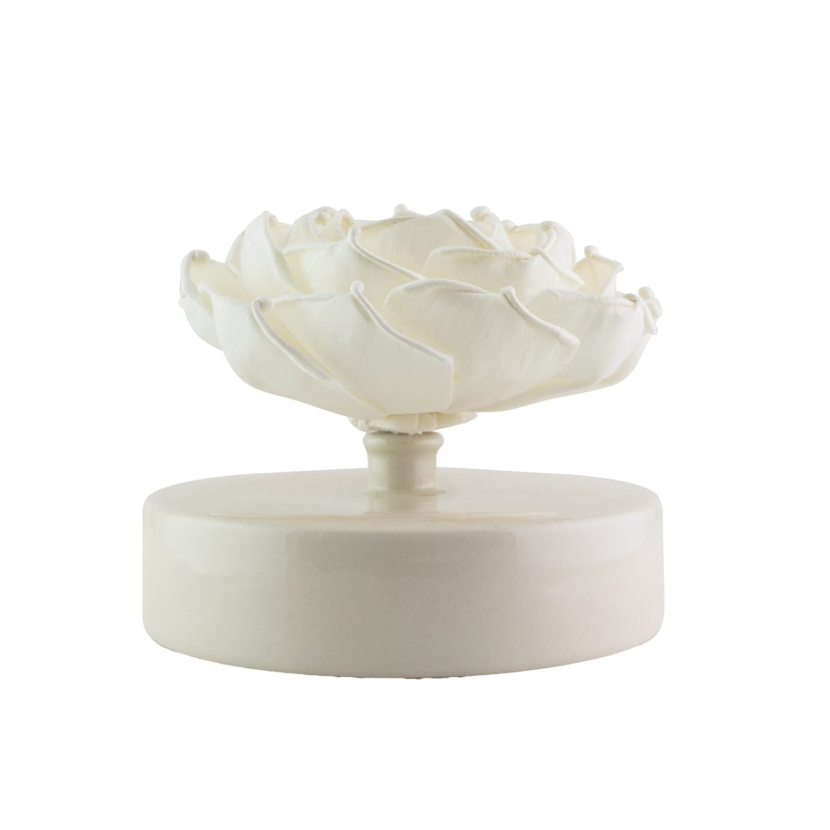 Hysses Singapore Home Scents Big Bloom Solar Diffuser, Lemon Geranium (Red) R