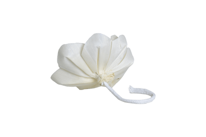 Hysses Singapore Home Scents Big Bloom Solar Diffuser, Palmarosa Jasmine (Maroon Pink) R