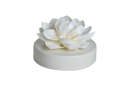 Hysses Singapore Home Scents Big Bloom Solar Diffuser, Palmarosa Jasmine (Maroon Pink) R