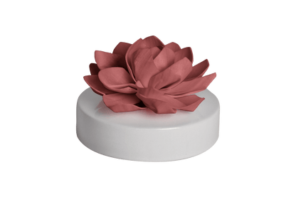 Hysses Singapore Home Scents Big Bloom Solar Diffuser, Palmarosa Jasmine (Maroon Pink) R