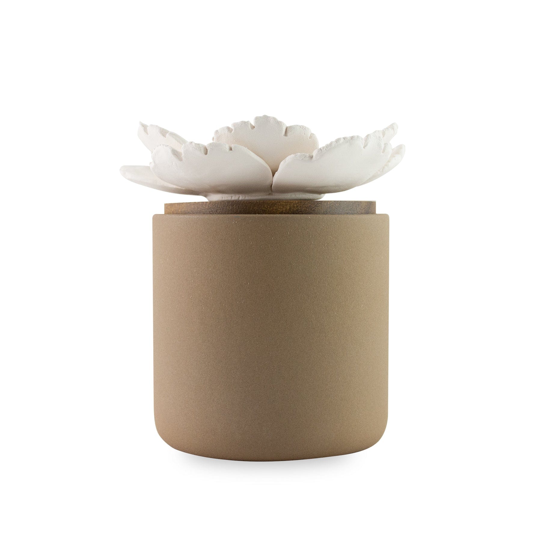 Hysses Singapore Home Scents Bloomster Pot Clay Diffuser Mayapple R