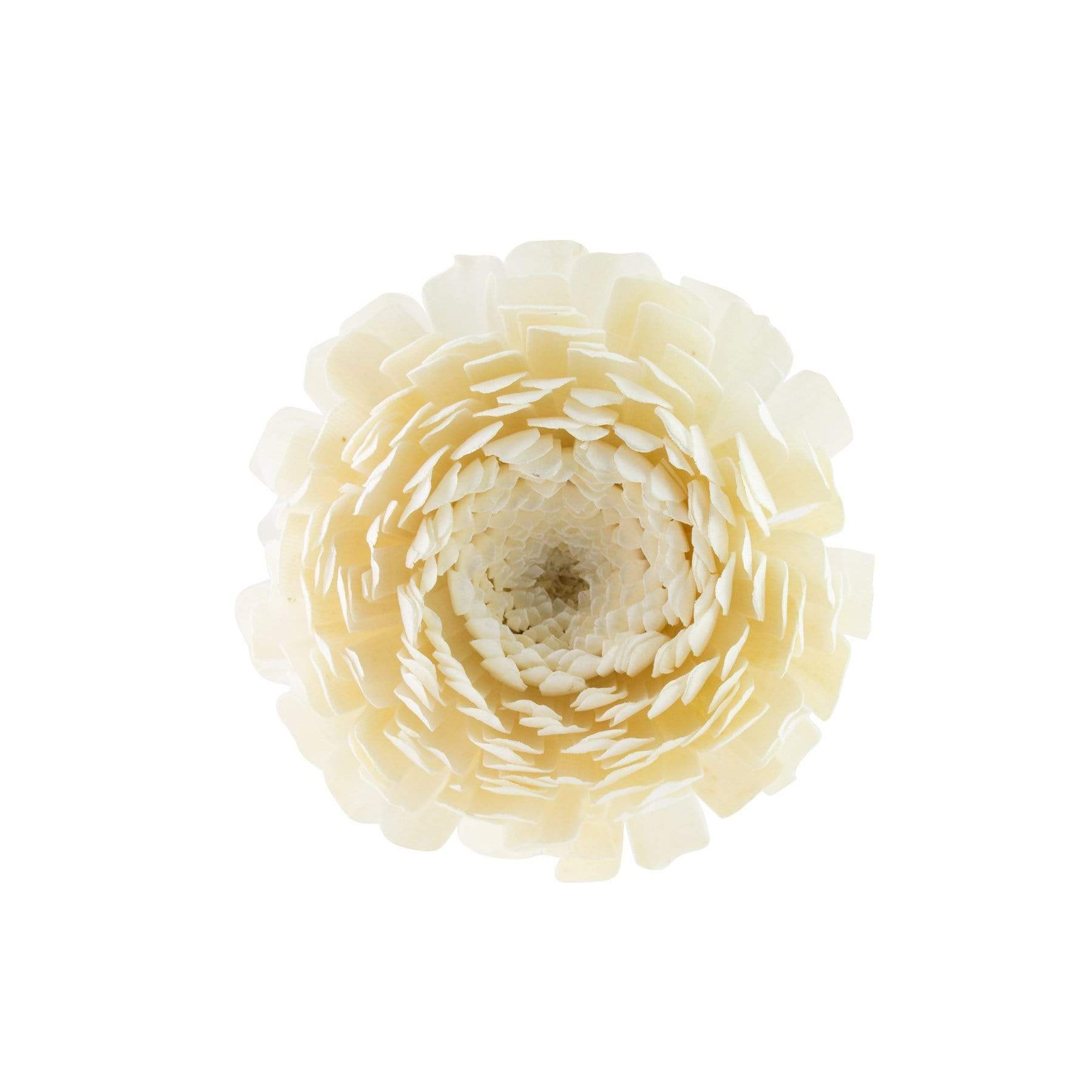 HYSSES Home Scents 2.5" Solar Flower Diffuser Refill - Chrysanthemum 2.5"