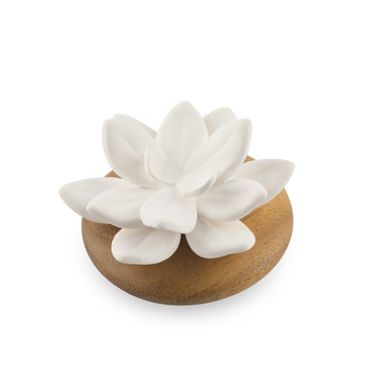 Hysses Singapore Home Scents Succulent Diffuser Scenting Clay Rosa Debay R