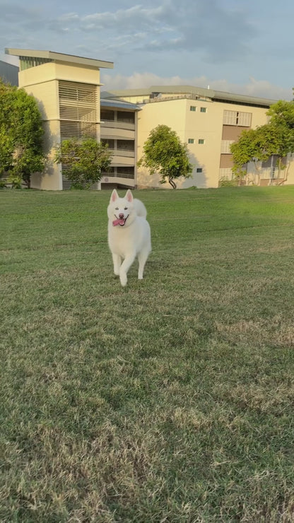 FurryCare, Deodorising Spray