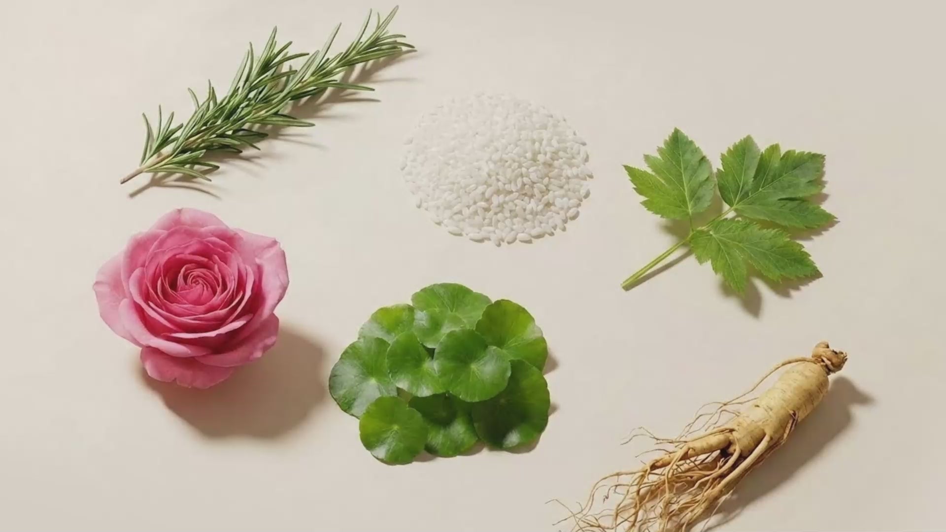 Load video: Hysses HYBiome New Launch