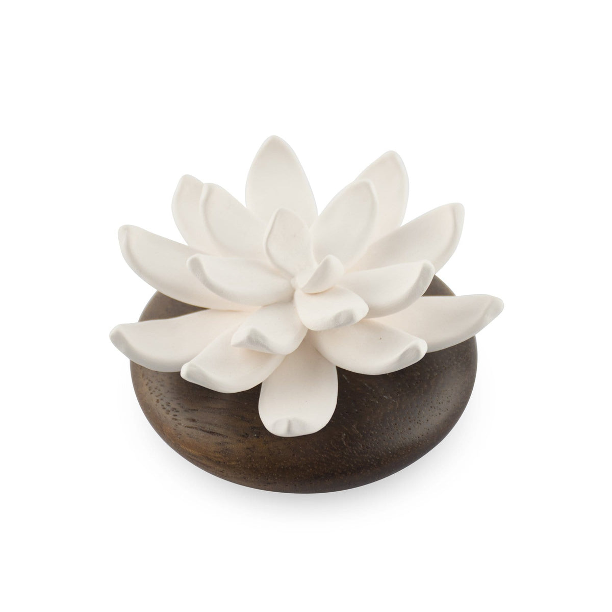 Hysses Home Scents Succulent Diffuser Scenting Clay Pathum